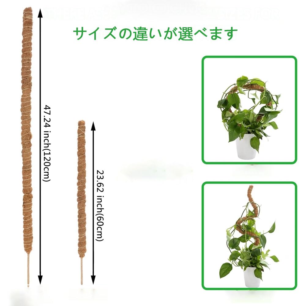 天然ヘゴ支柱11本セツト 希少性あり❗ 楽天市場】（3本セット販売）ネット支柱 （ミドリ色 直径6x90cm）x3本